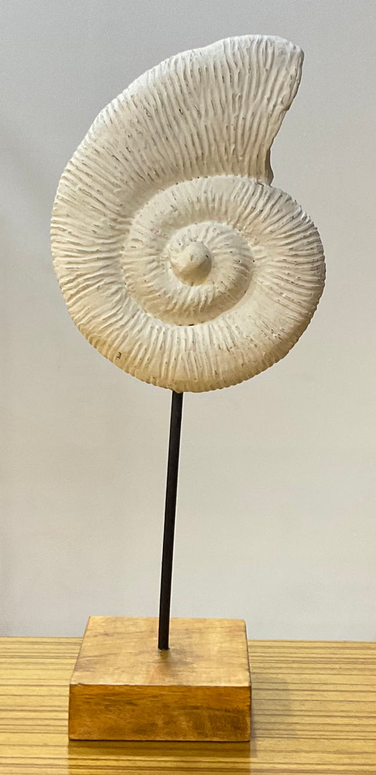 Handcrafted Shell on Stand Table Decor Sculpture